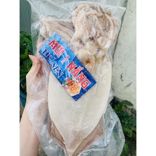 MỰC 1 NẮNG NET 9.5