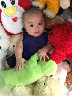 Gấu bông si