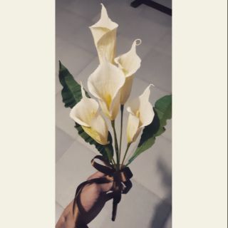 Hoa loa kèn giấy nhúng