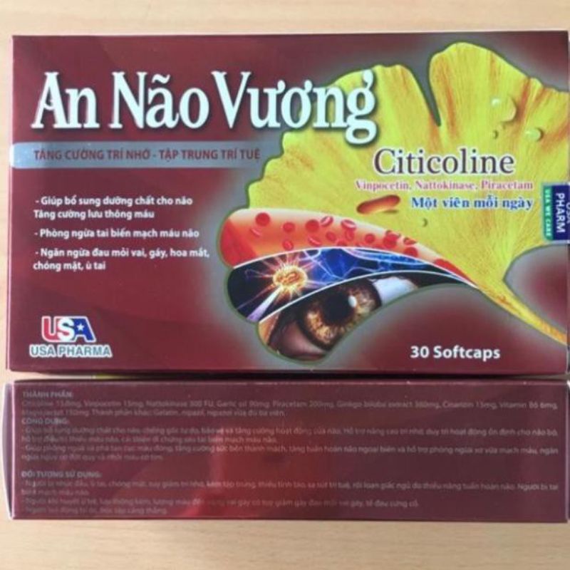 An não vương