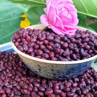 Đậu Đỏ Thuần Chủng 500gram