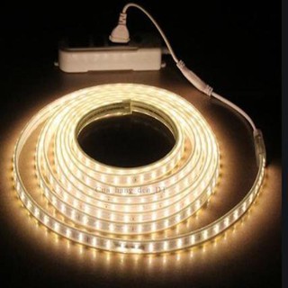 Đèn Led dây trang trí - dây đôi siêu sáng 2835 [Den Led Day]