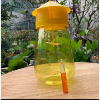 Bộ sản phẩm Bình bẫy ruồi vàng và chất dẫn dụ