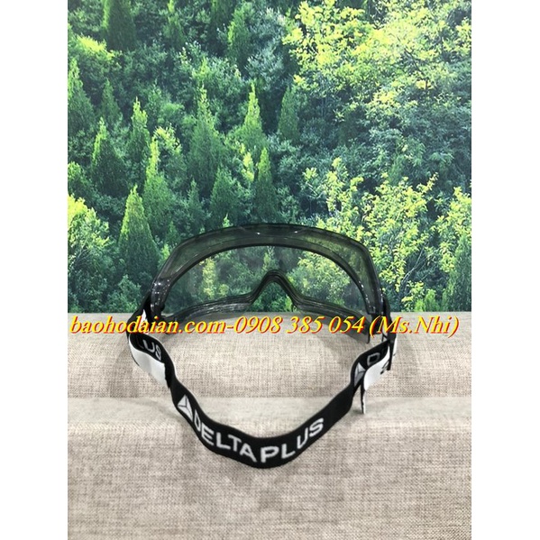 Kính bảo hộ chống hóa chất Deltaplus Galeras- Hình thật