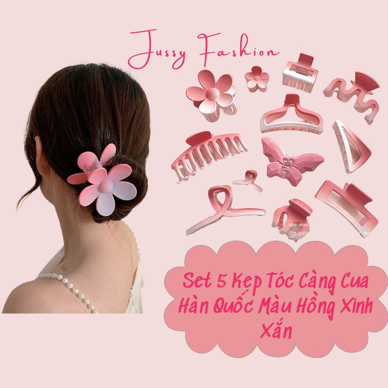 Set 5 Kẹp Tóc Càng Cua Màu Hồng Dễ Thương Jussy Fashion Kiểu Kẹp Tóc Hàn Quốc Nhiều Mẩu Đẹp Đựng Túi Zip