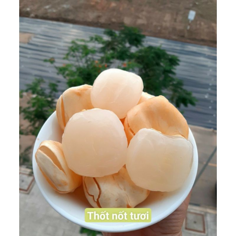 Thốt nốt tươi 1 ký