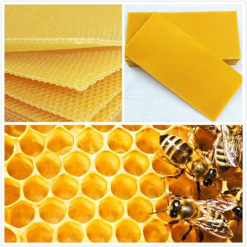 Bộ 10 chiếc khung hình tổ ong dùng để nuôi ong
