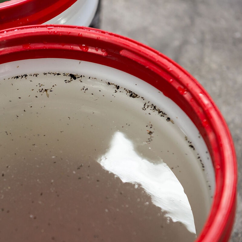 Dung dịch TẨY PHÂN CHIM, XÁC CÔN TRÙNG, NHỰA CÂY thương hiệu CHEMICAL GUYS BUG & TAR CAR - Mỹ- 473ml