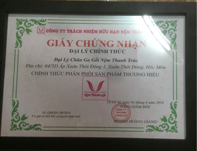 Nệm cao su non Thắng Lợi dày 5cm gấp 3