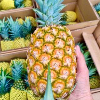 Dứa Sấy Dole gói 80g - Dried Pineapple Dole