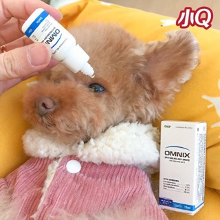 Thuốc nhỏ mắt Omnix dành cho thú cưng🐶👀