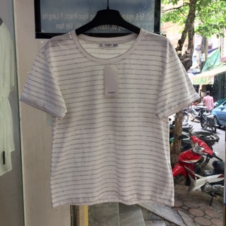 Áo thun thời trang 100% cotton