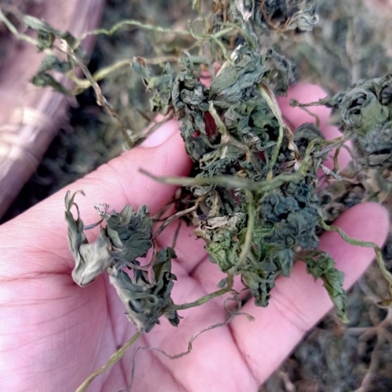 100 gr Bột cần tây nguyên chất Handmade nhà làm | BigBuy360 - bigbuy360.vn