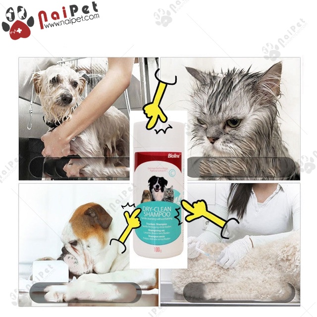Bọt Tắm Khô Dưỡng Lông Cho Thú Cưng Bioline Foam Shampoo 220g