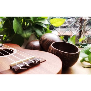 Chén Gáo Dừa (Mài Bóng)