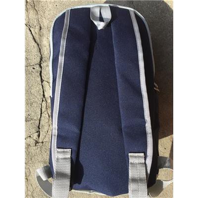 Balo Ensure 2 Ngăn MÀU XANH ĐEN Thể Tích 10 Lít