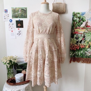Đầm ren dáng xoè Carnation.