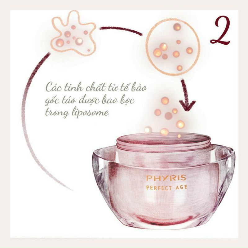 kem dưỡng da phyris