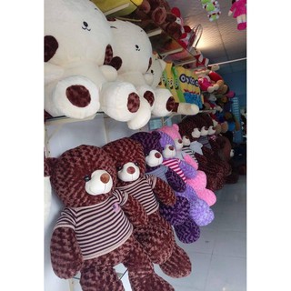 Gấu bông Teddy 80cm