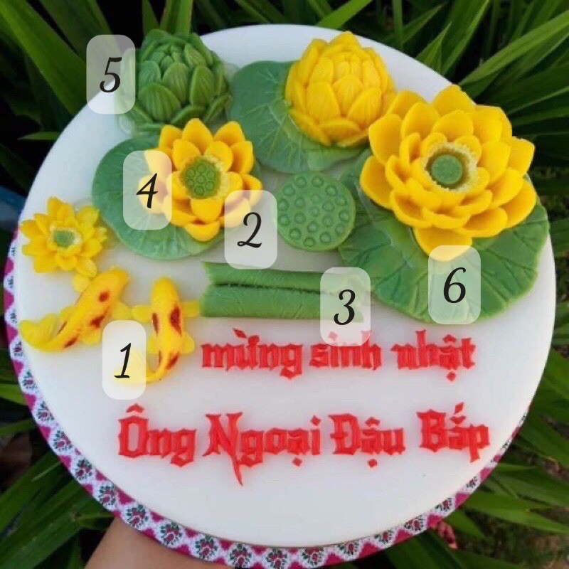 Combo 6 khuôn silicon đầm sen