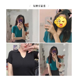 Áo Polo nữ cổ V