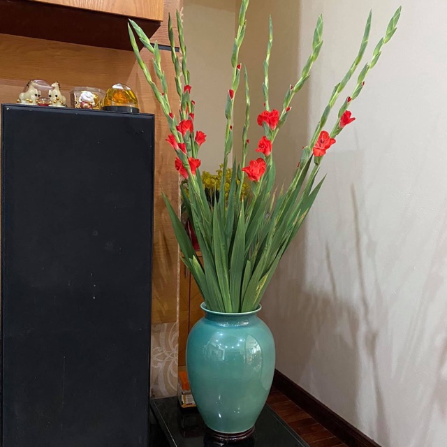 LỌ HOA CHUM ( CẮM LAY ƠN, SEN ...)