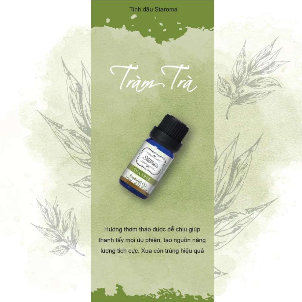 Tinh Dầu Thiên Nhiên Tràm Trà 10ml Aromate- Taiwan Hub