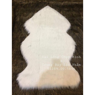 Thảm lông chụp ảnh - Hình thông dài 1m2