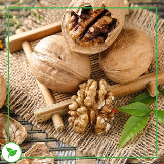 Hạt Nấu Sữa - Set Óc chó Mix