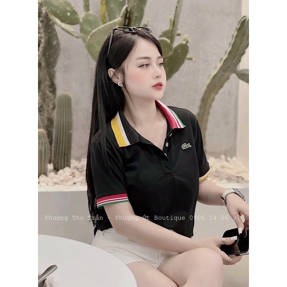 Áo polo cổ viền cá sấu 3 màu