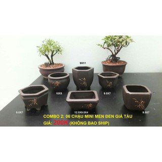 chậu  bonsai  mili  kích thước ở ảnh ..