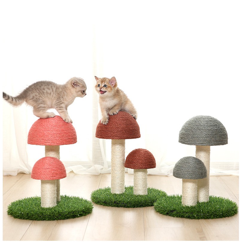 trụ mèo hình cây nấm - Cat Tree