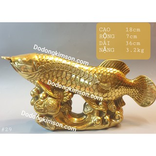 Cá rồng vàng