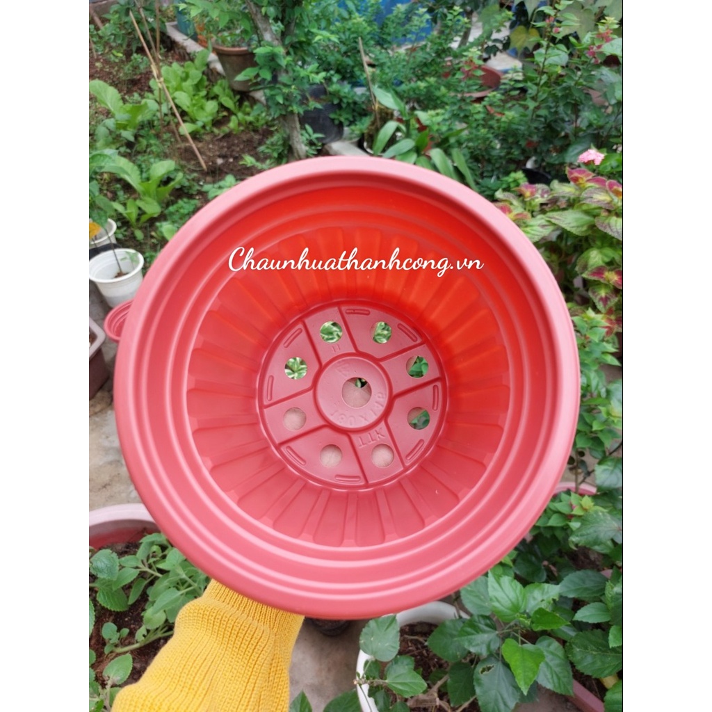 Combo 10 Chậu nhựa 18x14,6cm trồng sen đá, dâu tây, cây giống, thoát nước tốt