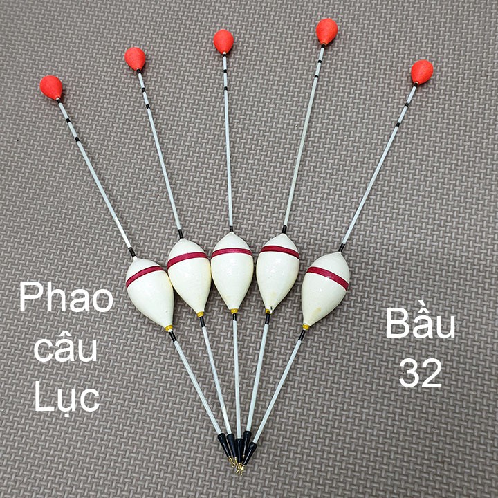 Phao câu cá, phao câu lục gần bờ bầu 32