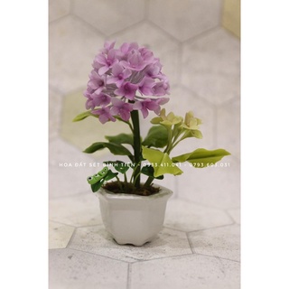 Chậu hoa tú cầu cao 18cm