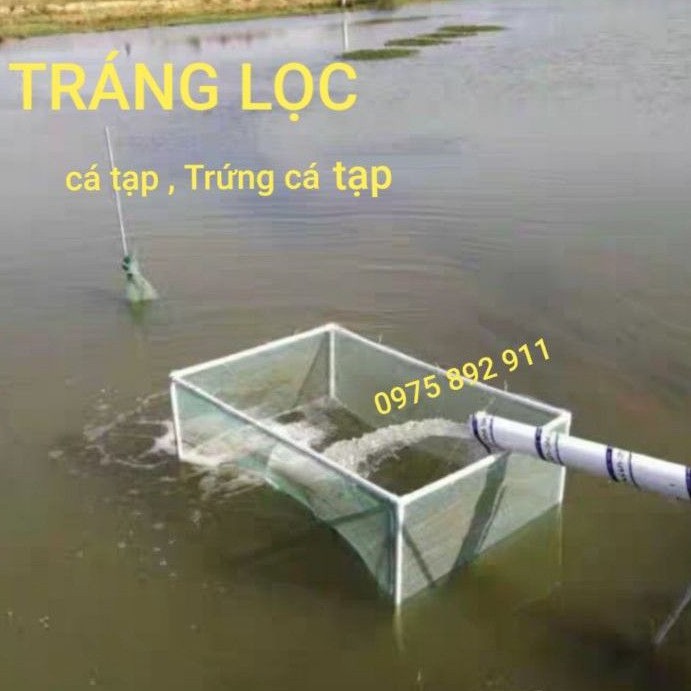 TRÁNG LỒNG LỌC CÁ TẠP , TRỨNG CÁ TẠP CHO AO CÁ