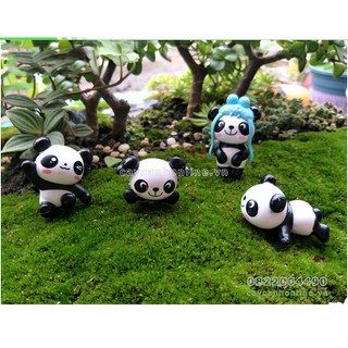 Gấu trúc panda tinh nghịch