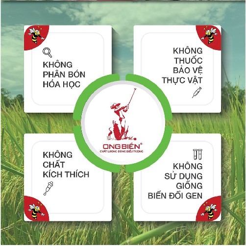 Gạo sạch / Gạo Hữu Cơ dẻo thơm cơm ngọt thượng hạng ngon hơn gạo st24 để lâu vẫn dẻo, cơm rất lâu thiu tới 20h