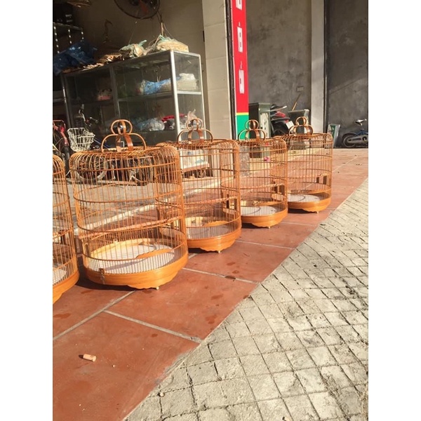 Khung dựng lồng choè than