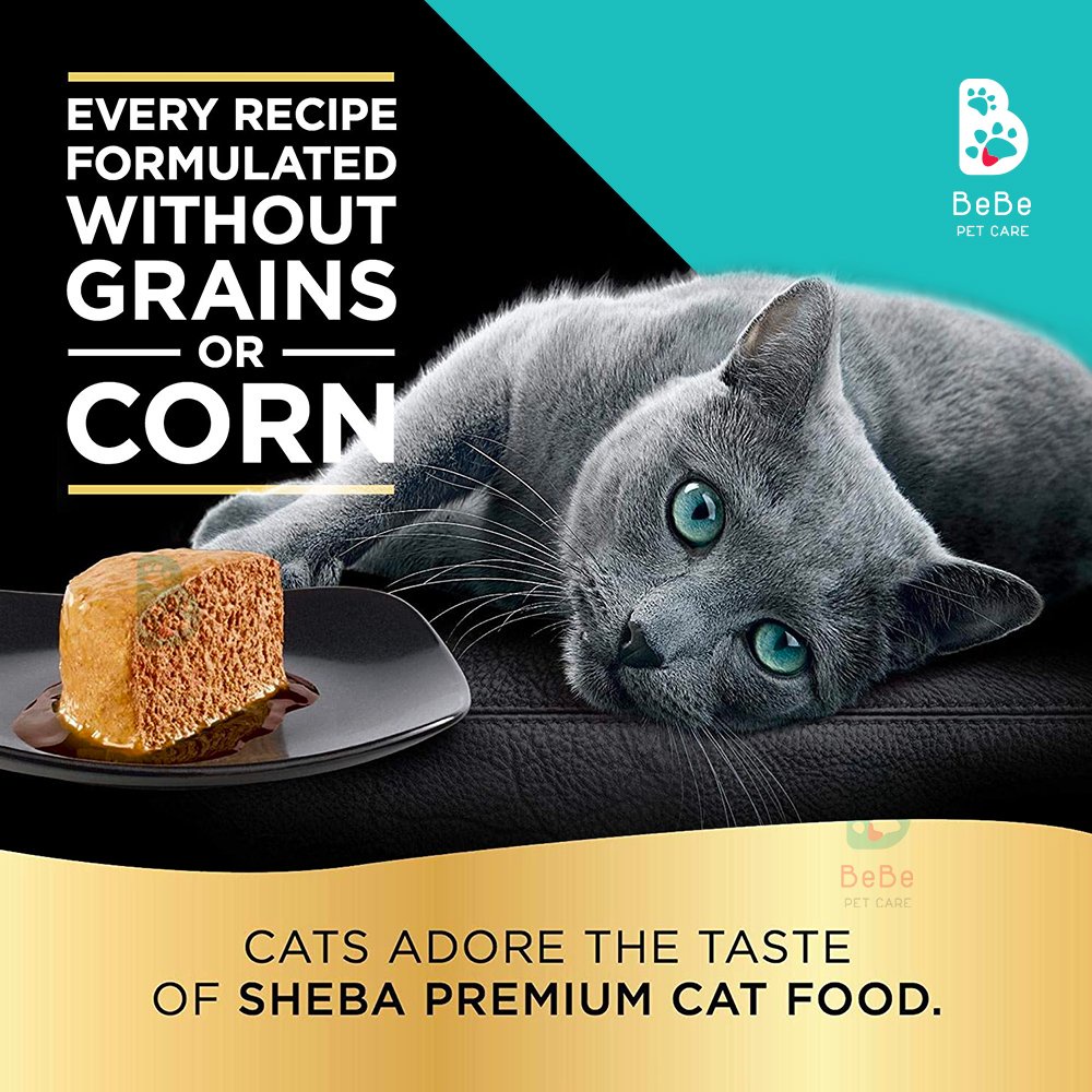 Pate SHEBA Nhiều Vị Cho Mèo - Nhập Khẩu Từ Mỹ