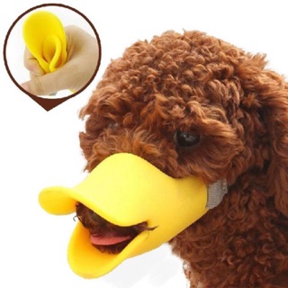 RỌ MÕM MỎ VỊT DÀNH CHO BÉ