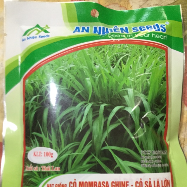 HẠT GIỐNG CỎ MOMBASA GHINE-CỎ SẢ LÁ LỚN 100g