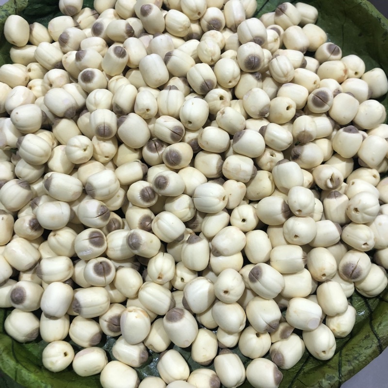 1 kg hạt sen tươi ngon giá sỉ