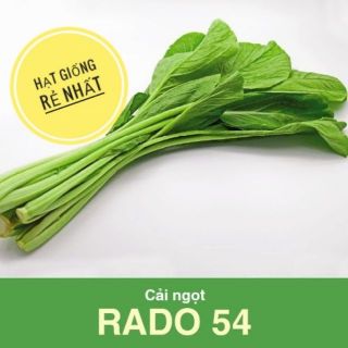 Hạt giống rau cải ngọt Rạng Đông 54( 1 gói/20g)