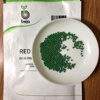 Hạt giống Măng Tây Radius Bejo Hà Lan