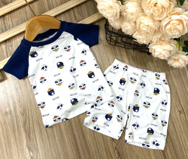 Bộ Carter's xuất khẩu bé trai 9-23kg