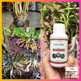 Van Tưới Nhỏ Giọt