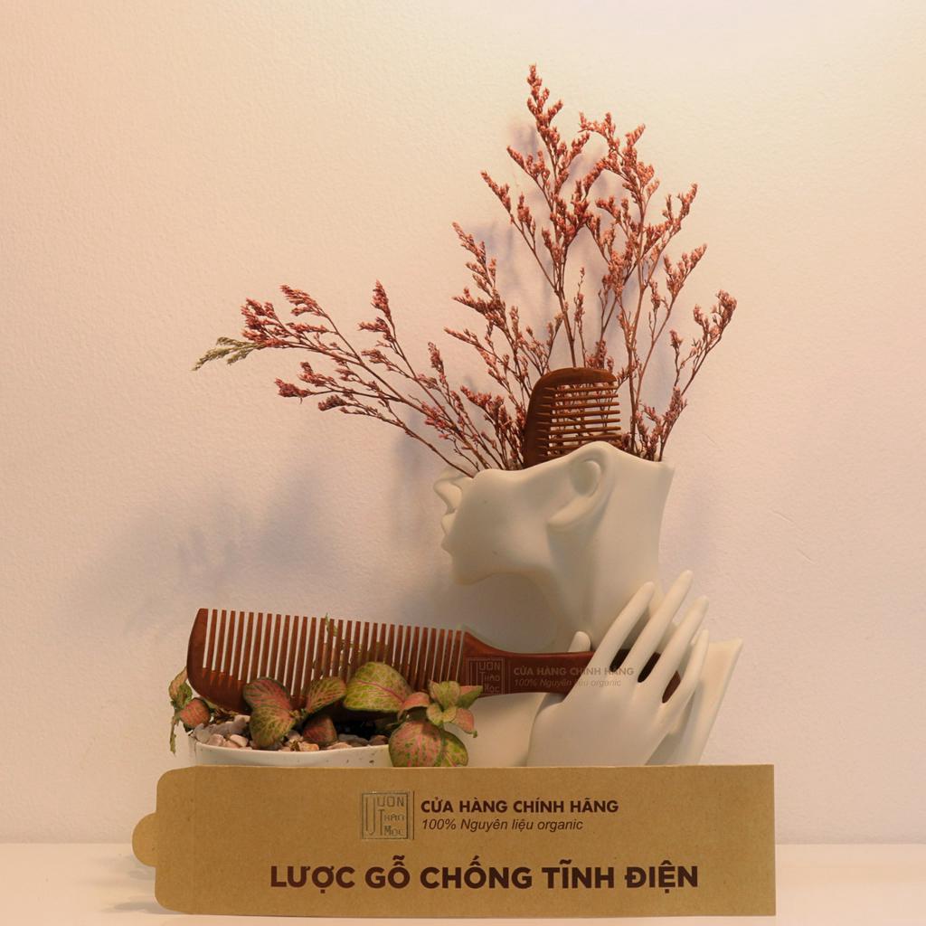 Lược Gỗ Chải Tóc Vườn Thảo Mộc Organic Chống Tĩnh Điện Gỡ Rối Tóc Chất Liệu Gỗ Cao Cấp