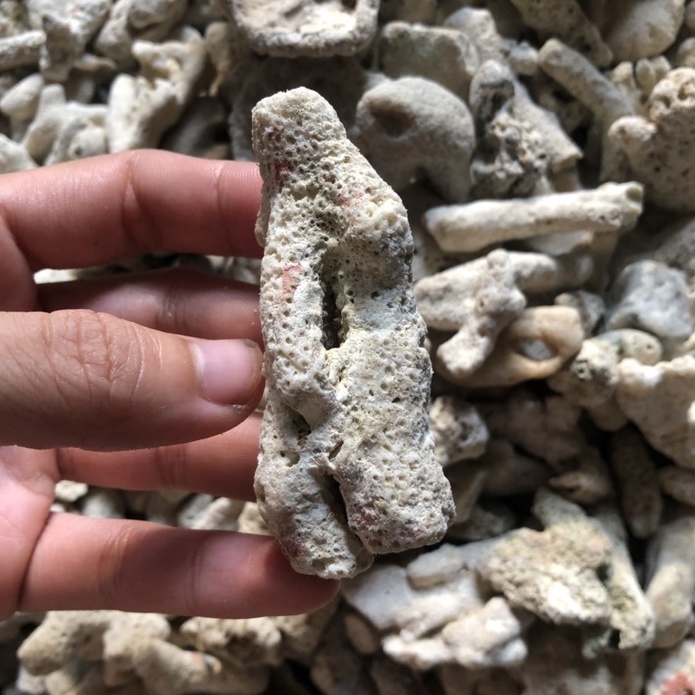 Vụn san hô - phụ kiện chụp ảnh - trang trí thủy sinh